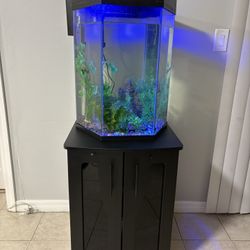 Fish Tank