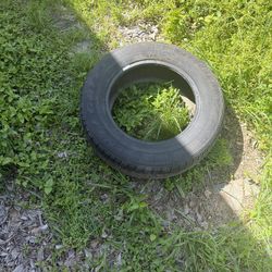 Tire 15   205/65