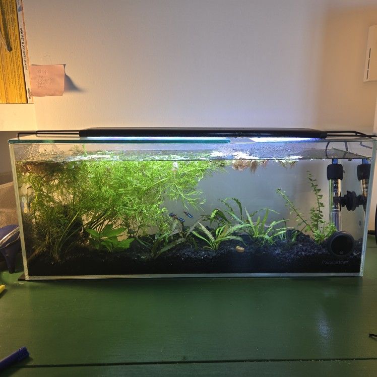 6.5 Gallon Aquatop Rimless With Everything