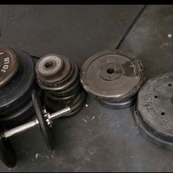 Free 1 in Weights set with bar and dumbell handles