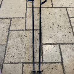 Ski Poles 