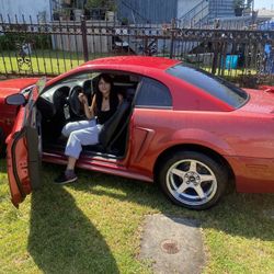 Mustang Cobra Svt  2005