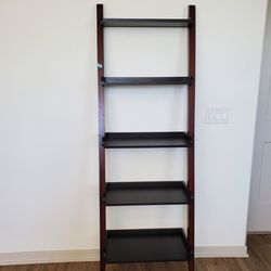 Leaning ladder bookcase/shelf