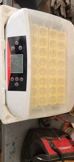 Incubator with automatic egg turning