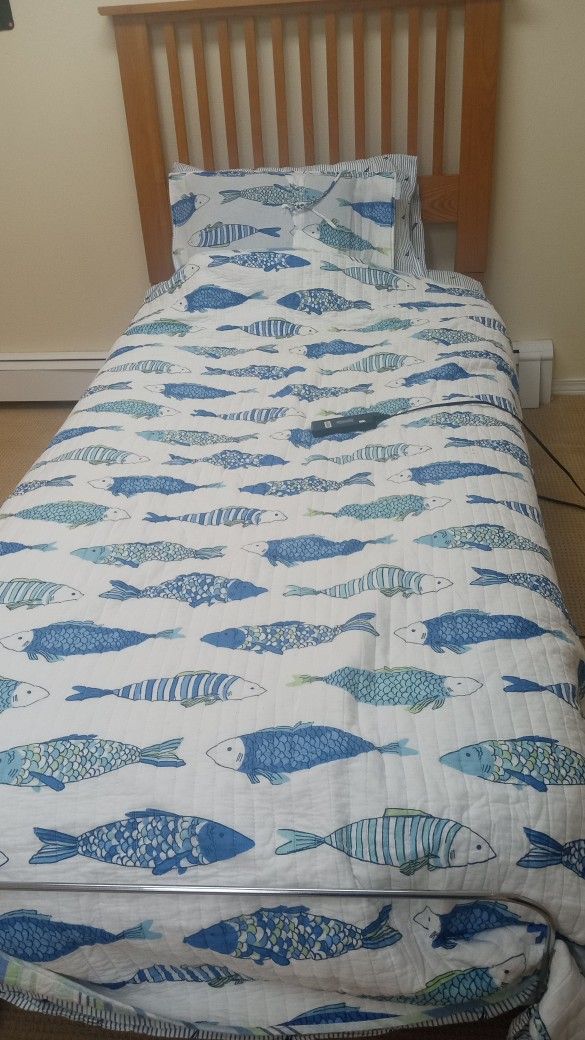 Bed Single Size, Motorized With Headboard.