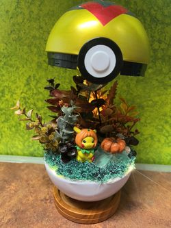 Handmade Pokemon Terrarium