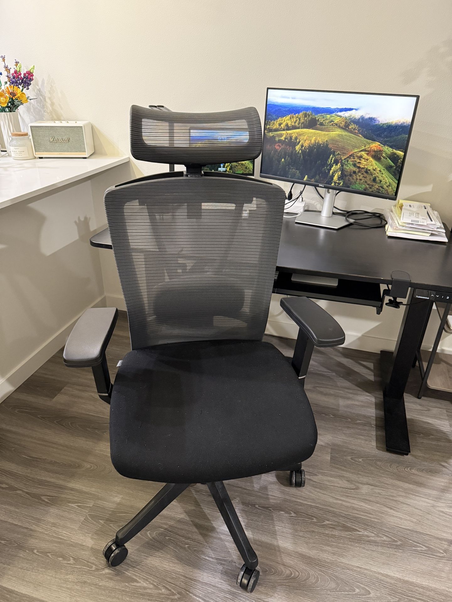 Autonomous ErgoChair Pro Office Chair