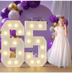 Numbers 65th-Birthday Large Decorations: 4ft Light Up Numbers