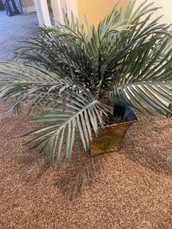 Artificial Fern Plant