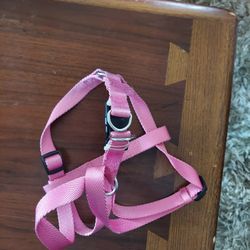 Dog Harness 