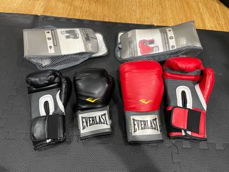 Everlast Pro Style Boxing Training Gloves 16 oz and 8 oz