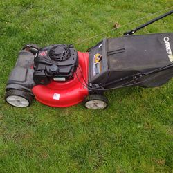 Self propelled lawnmower with bag