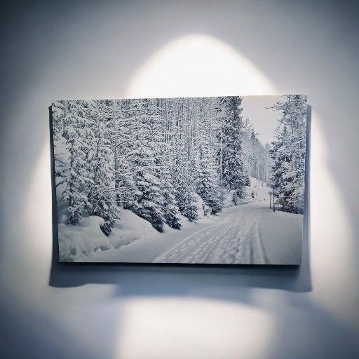 Winter Forest Path – 24x36 Gallery Wrap Canvas