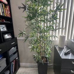 Faux Decorative Indoor Plant