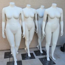 Women's Mannequin $140 Each