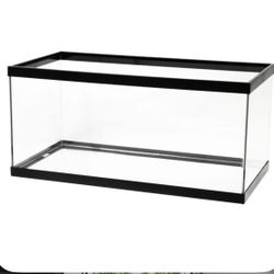 40 Gallon Tank