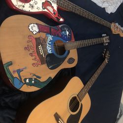 Acoustic Guitars/ Bass