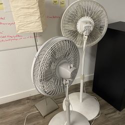 Fan