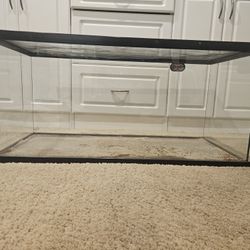40 Gallon Tank