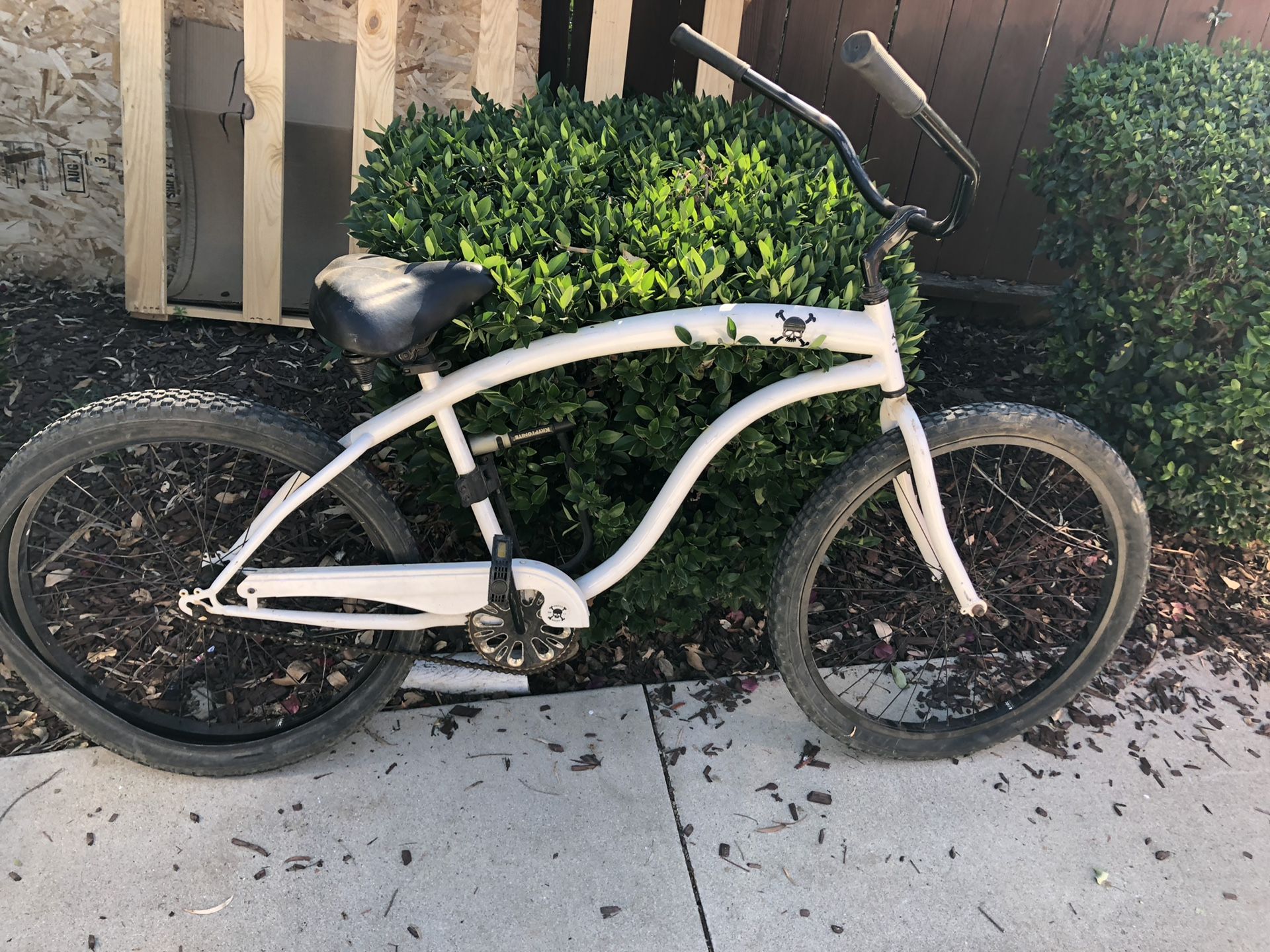 skull bones beach cruiser
