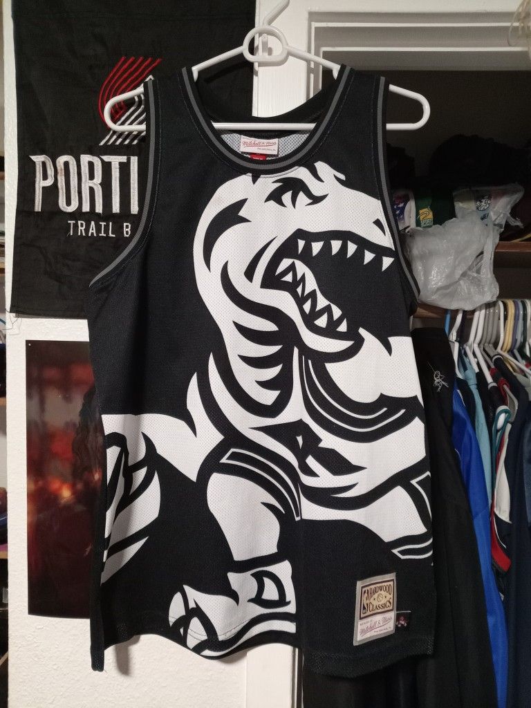 Mitchell And Ness (Hardwood Classic) Raptors Jersey