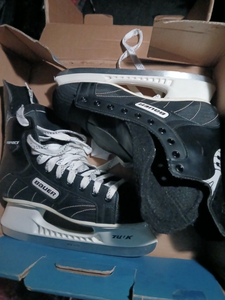 Bauer