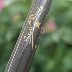 Star Aerial Jigging Rod