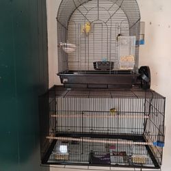 2 Bird Cage