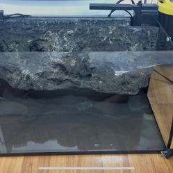 Tank hygger Horizon 8 Gallon