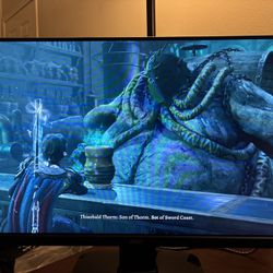 27” IPS HD Gaming Monitor 