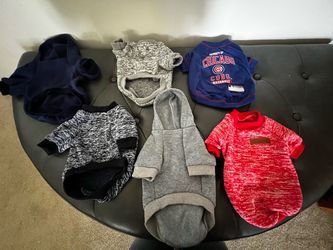 Lot of 6 Small Dog Clothes