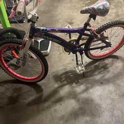20” Girls Bike,