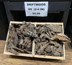 XS Driftwood Pieces 2-4 Inches $5.99 each piece