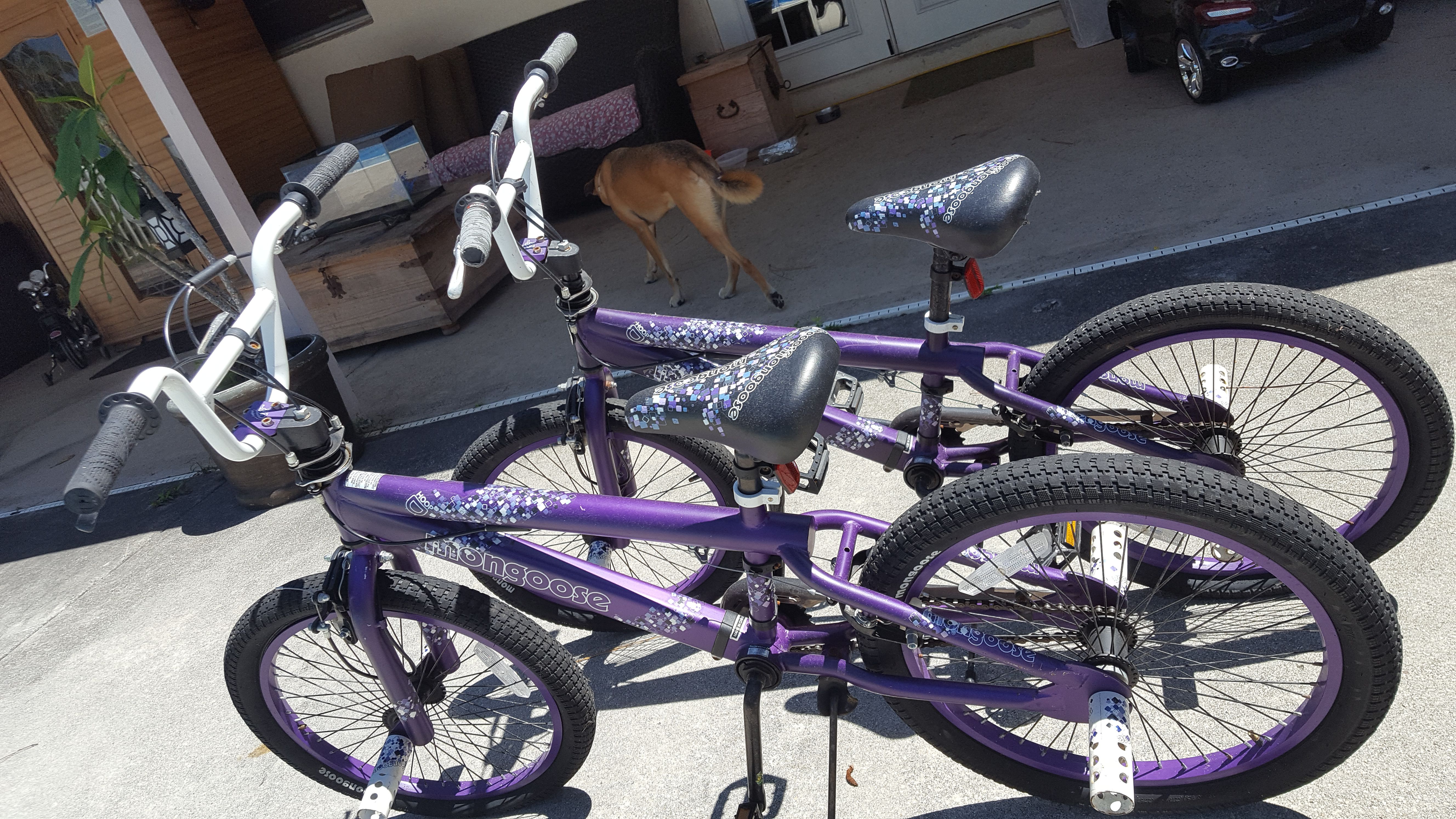 2 purple mongoose freestyle bikes