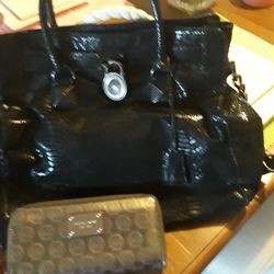 Michealkors Purse Snakeskin Leather 