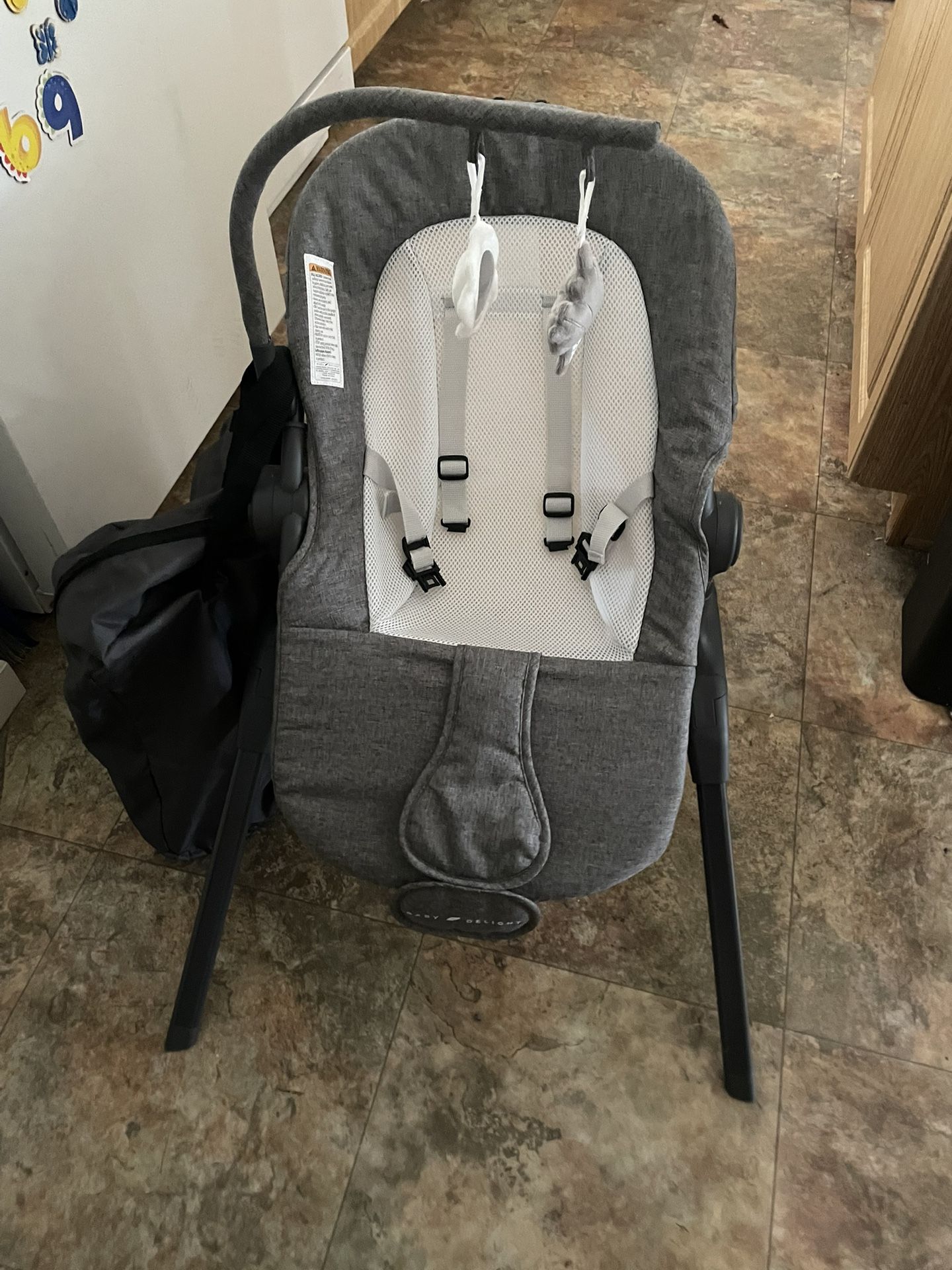 Baby Delight Adjustable Chair 