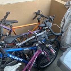 5  Bikes And Rack