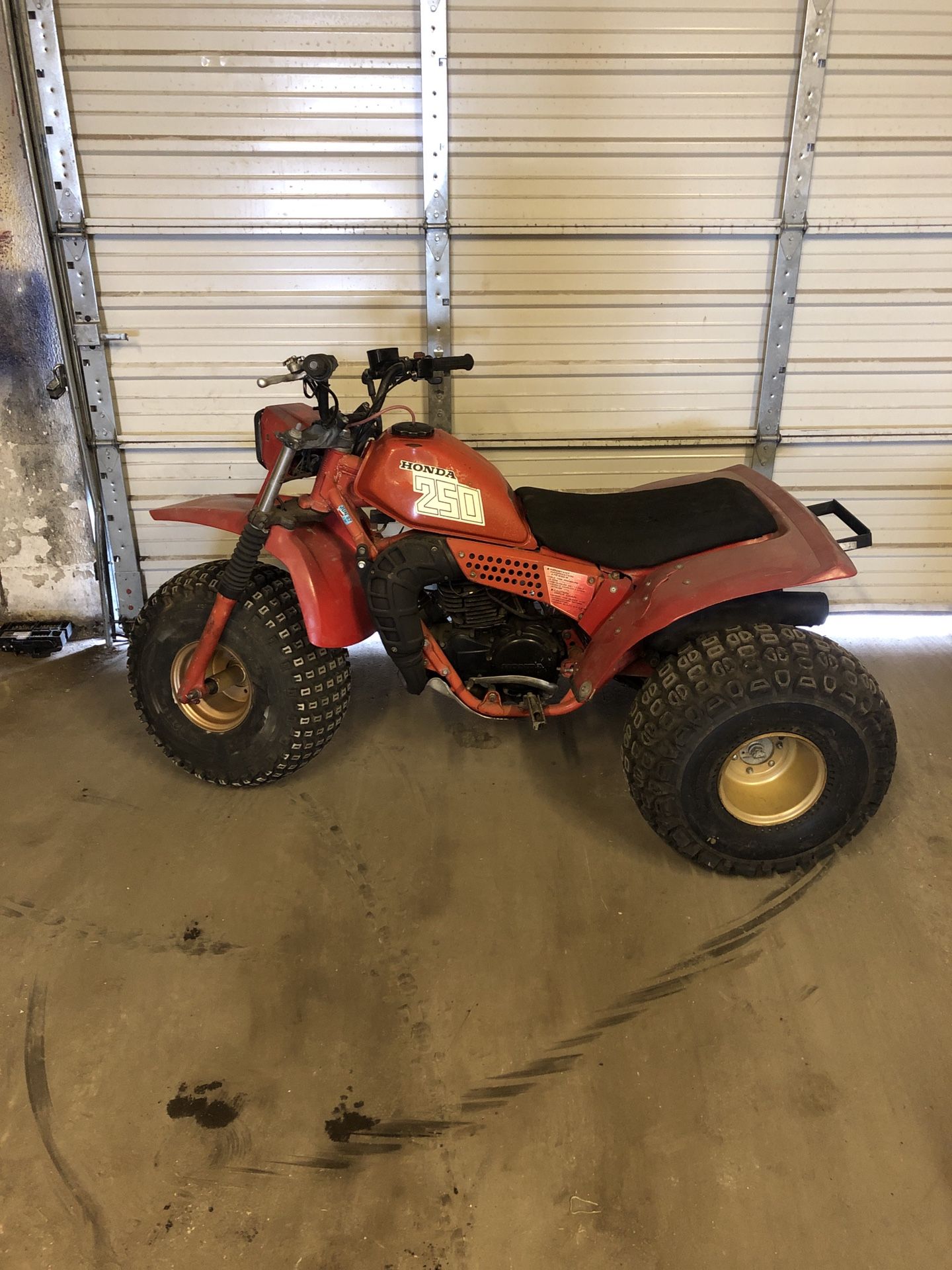 1981 HONDA ATC 250R 3 WHEELER ATV TWO STROKE 250CC