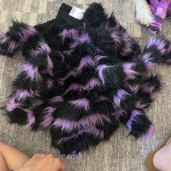 Dog Spider Costume Large