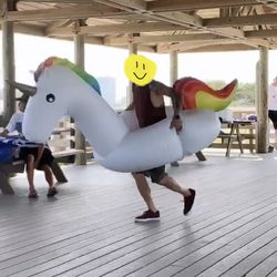 Unicorn Floaty