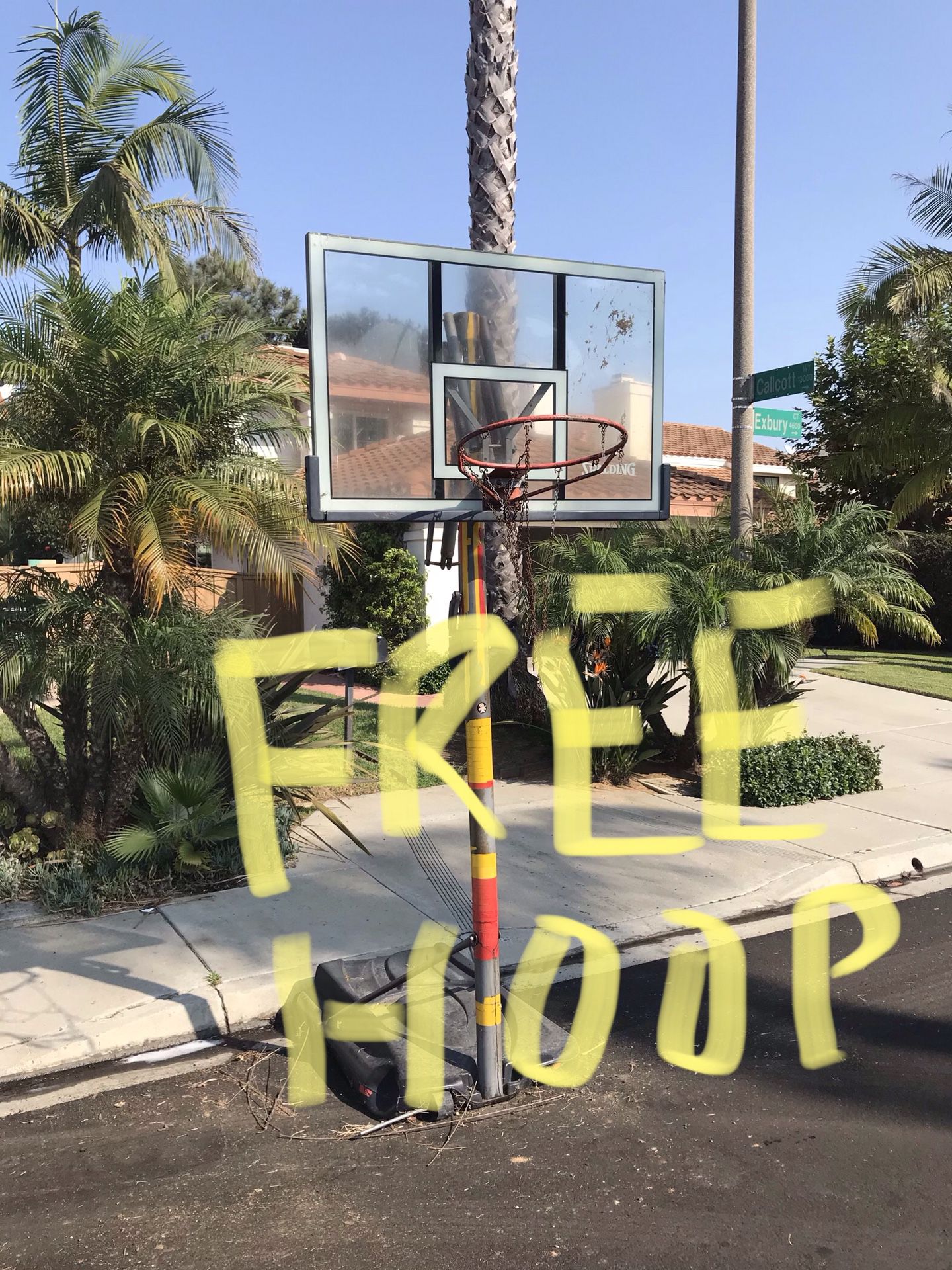 FREE basketball hoop