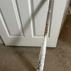 Baseball Bat