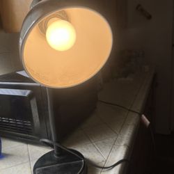 Electric Lamp $10.00 Dlls. 