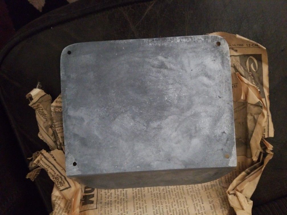 Silver Ford step plate's