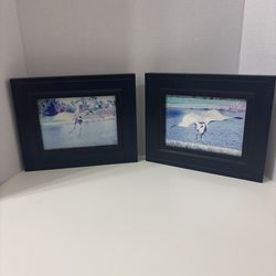Set of 2 Framed Bird Wall Art Pictures – Black Frames Home Decor
