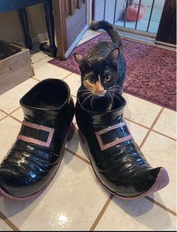 Witches shoes