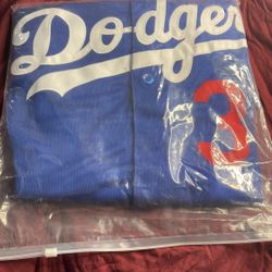 Jerseys , Nike , Size 48 , #35