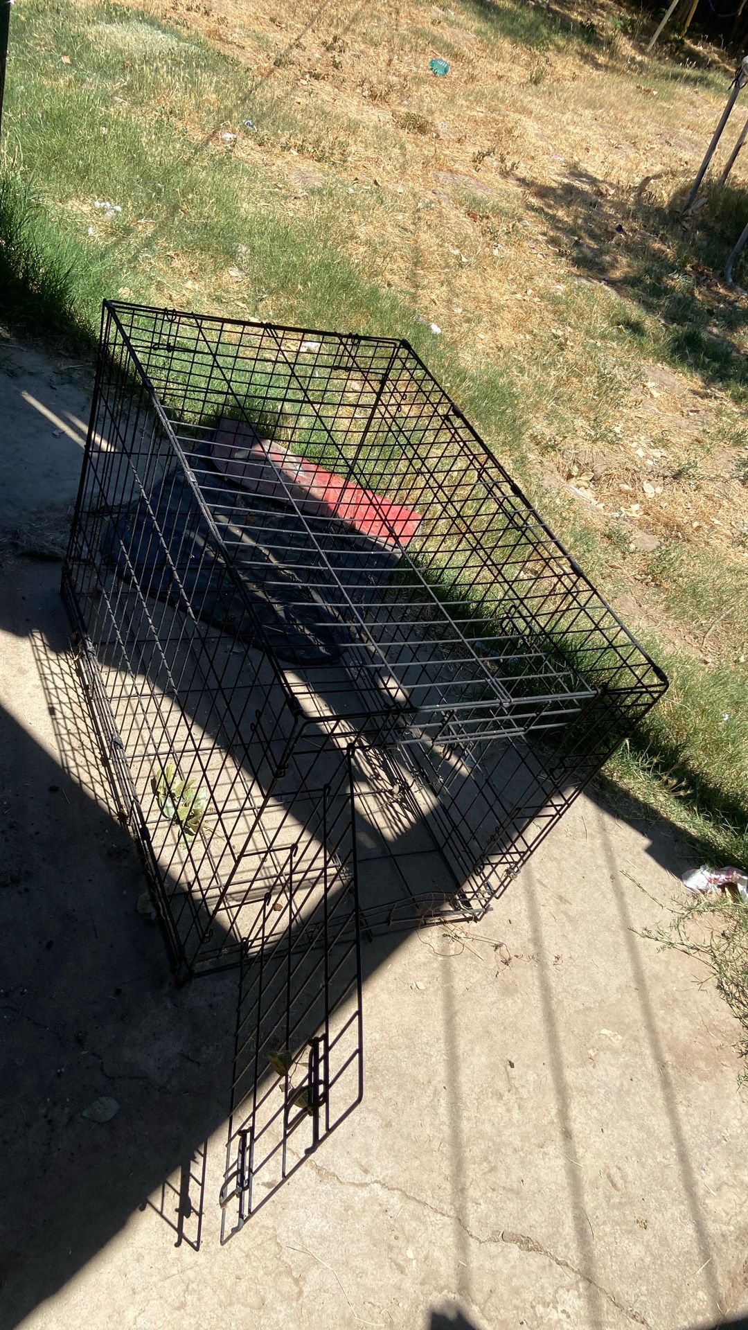 Dog Kennel