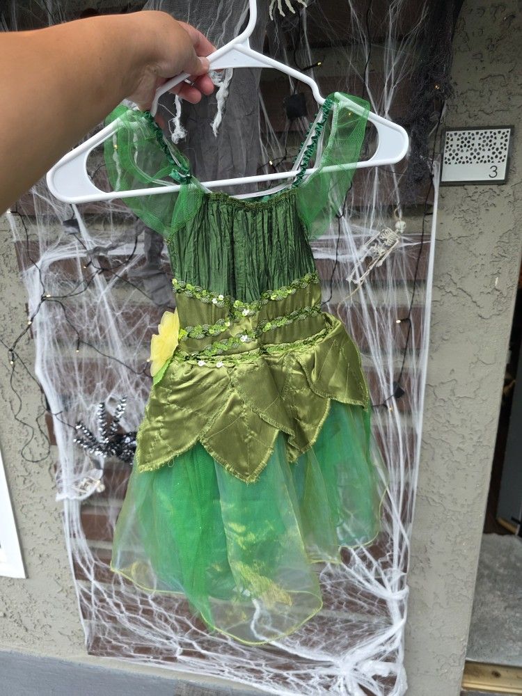 Fairy Costume For 5 Year Old ✨️ 