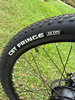 CST Fringe 30 TPI Mountain Bike Tire